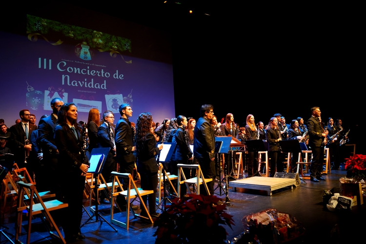 Icono Concierto de Navidad